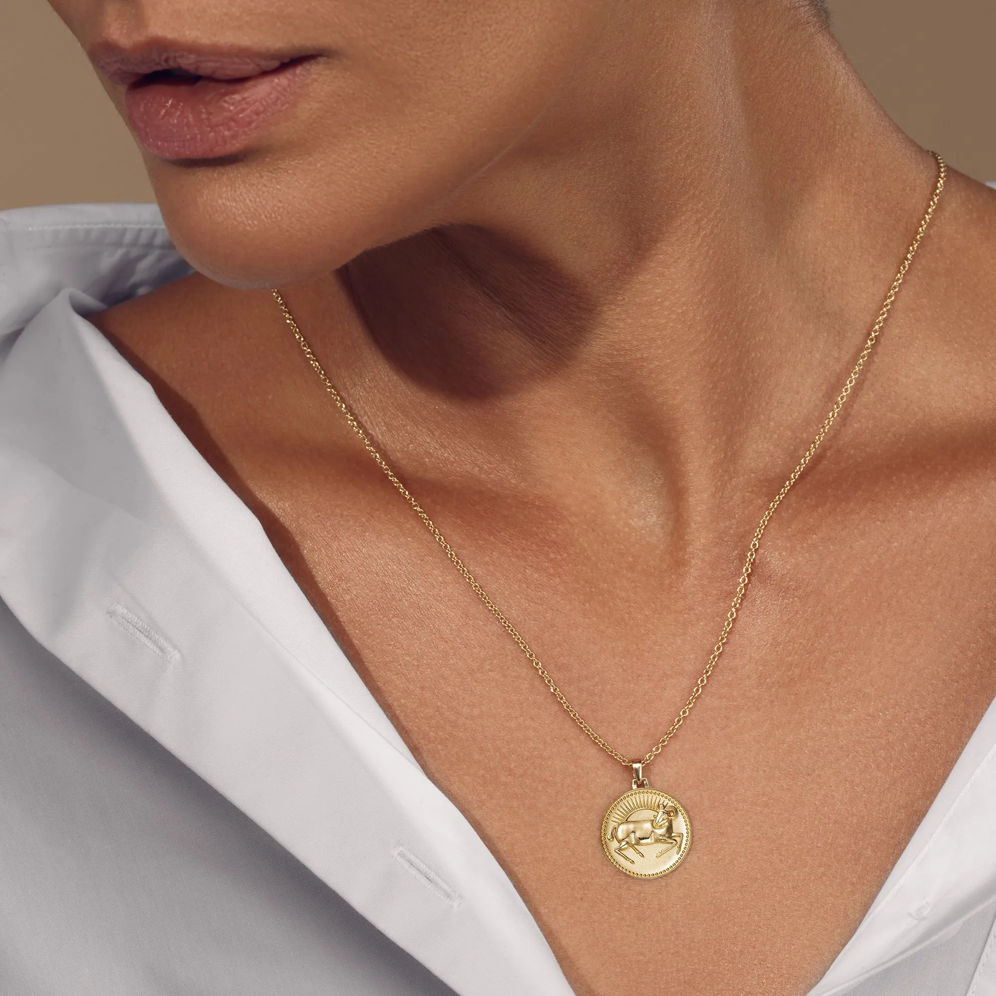 Aries Zodiac Pendant Necklace