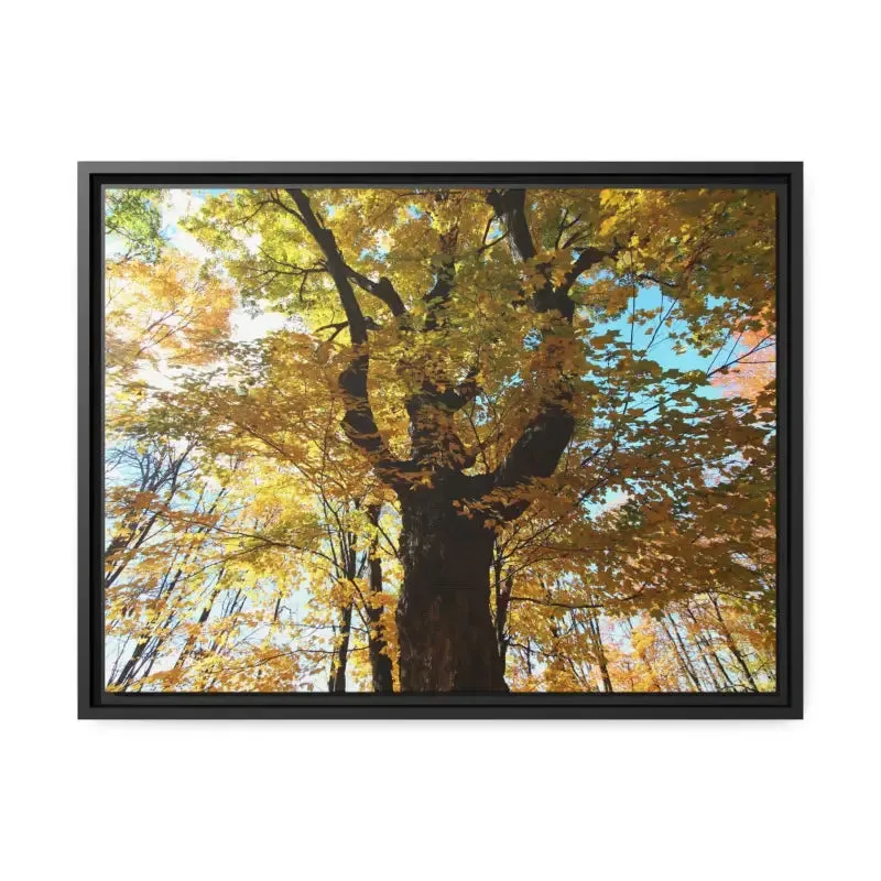 Autumn Magic Matte Canvas Yellow Leaves