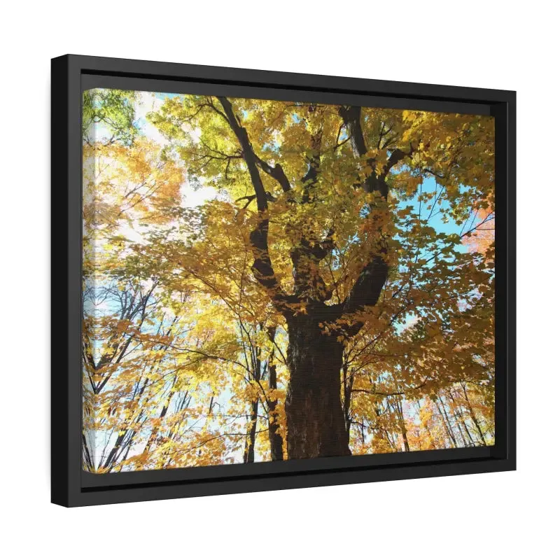 Autumn Magic Matte Canvas Yellow Leaves