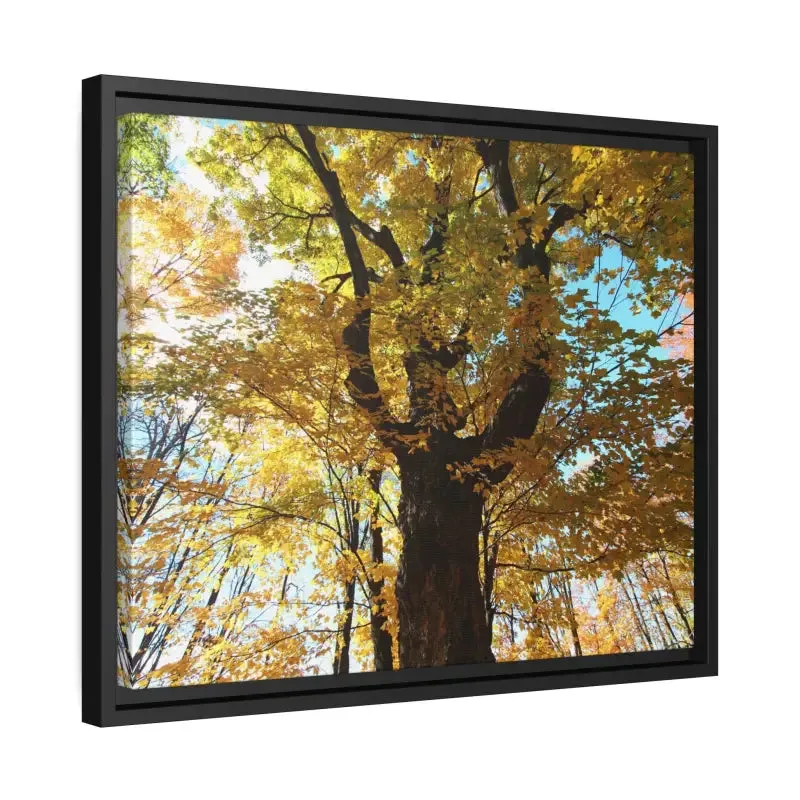 Autumn Magic Matte Canvas Yellow Leaves