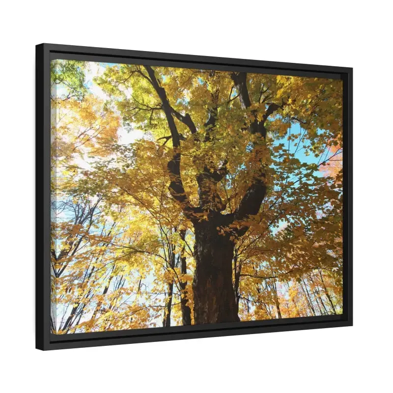 Autumn Magic Matte Canvas Yellow Leaves