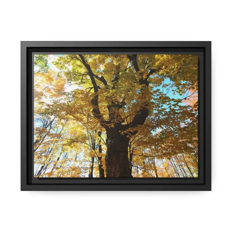 Autumn Magic Matte Canvas Yellow Leaves