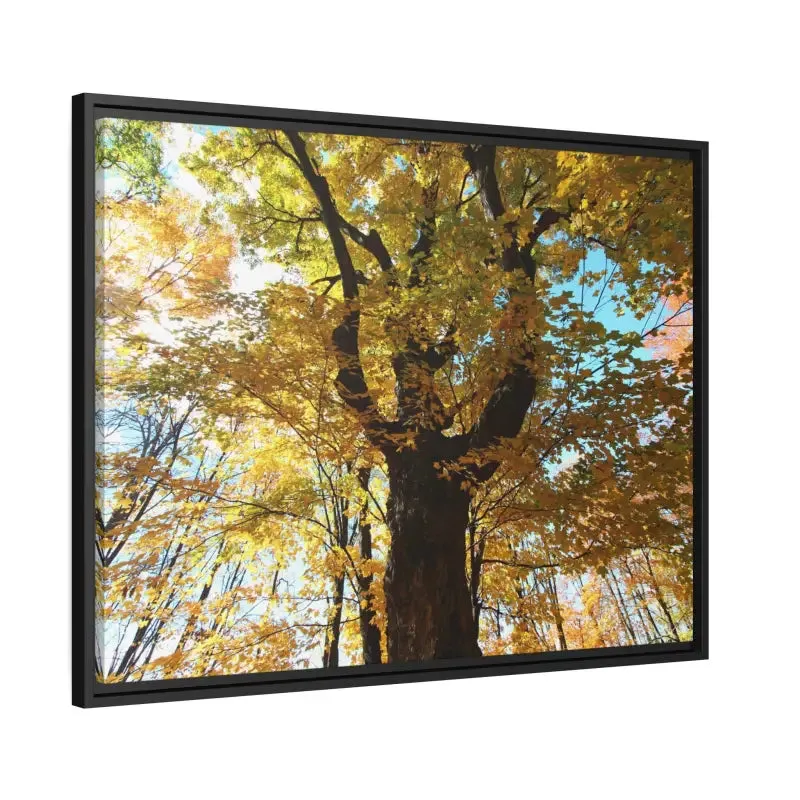 Autumn Magic Matte Canvas Yellow Leaves