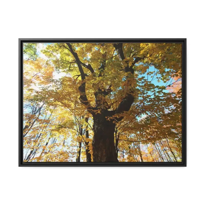 Autumn Magic Matte Canvas Yellow Leaves