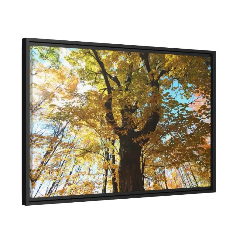 Autumn Magic Matte Canvas Yellow Leaves