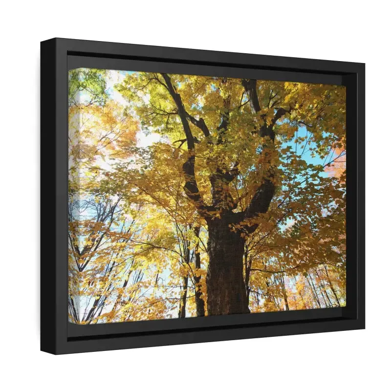 Autumn Magic Matte Canvas Yellow Leaves