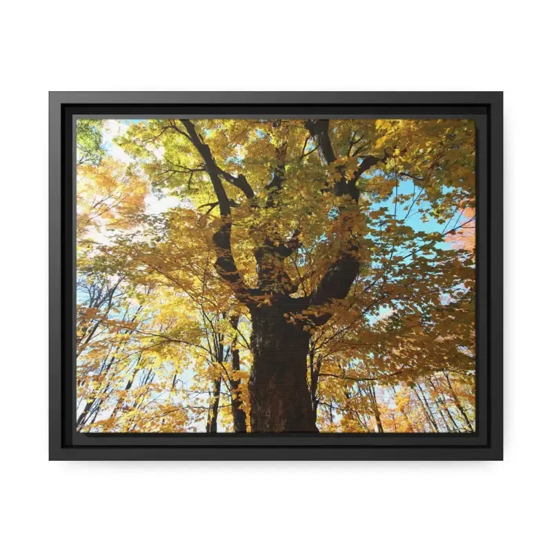 Autumn Magic Matte Canvas Yellow Leaves