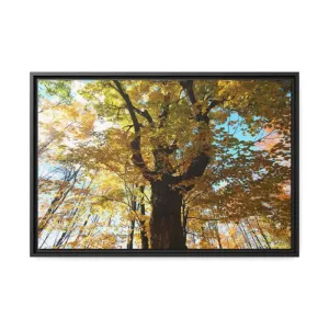 Autumn Magic Matte Canvas Yellow Leaves