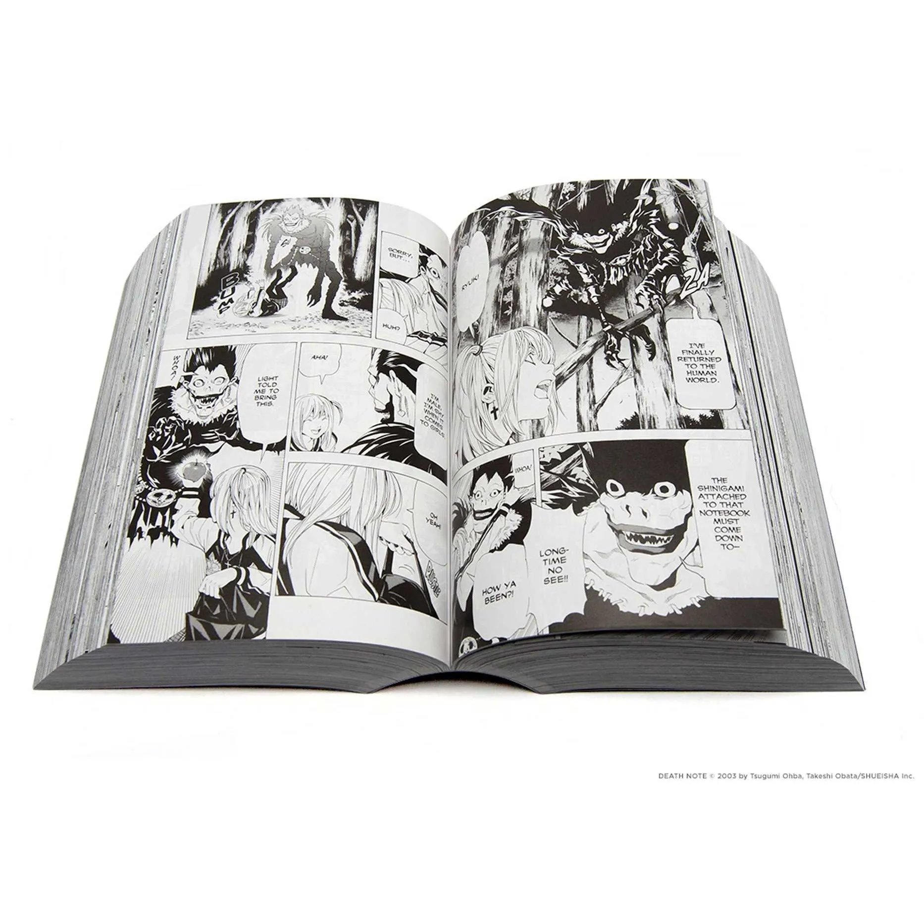 Death Note (All-in-One Edition)