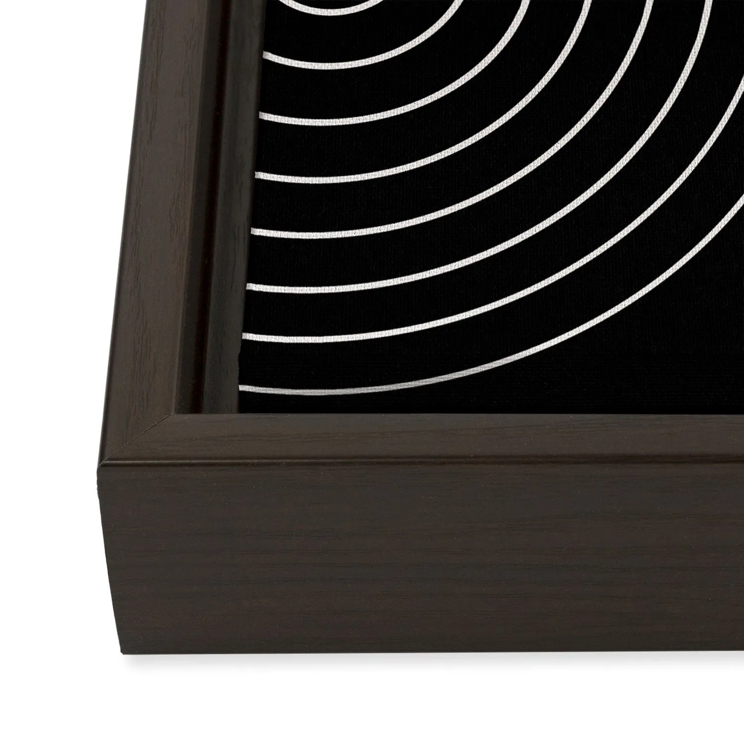 Minimal Line Curvature Black Art Canvas