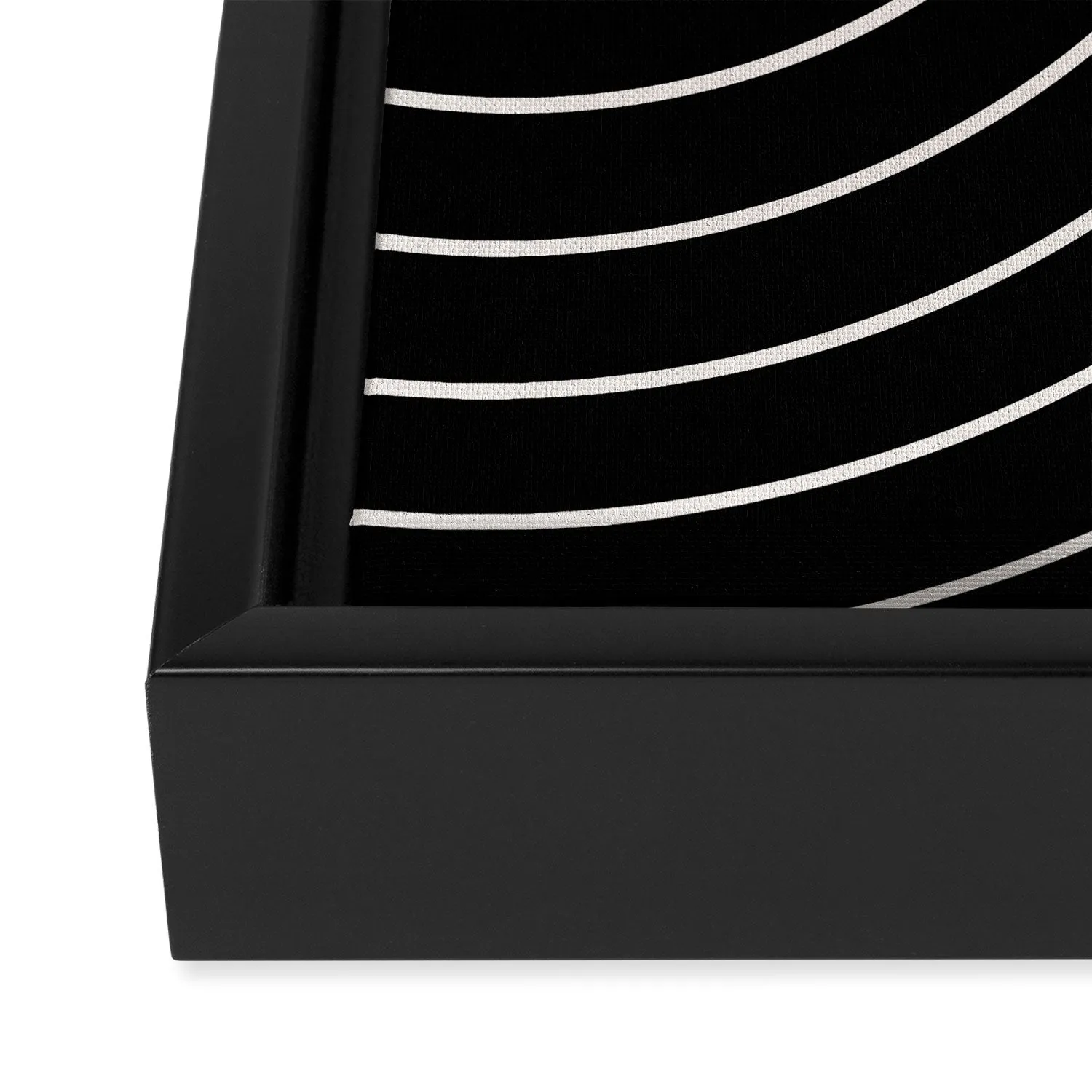 Minimal Line Curvature Black Art Canvas