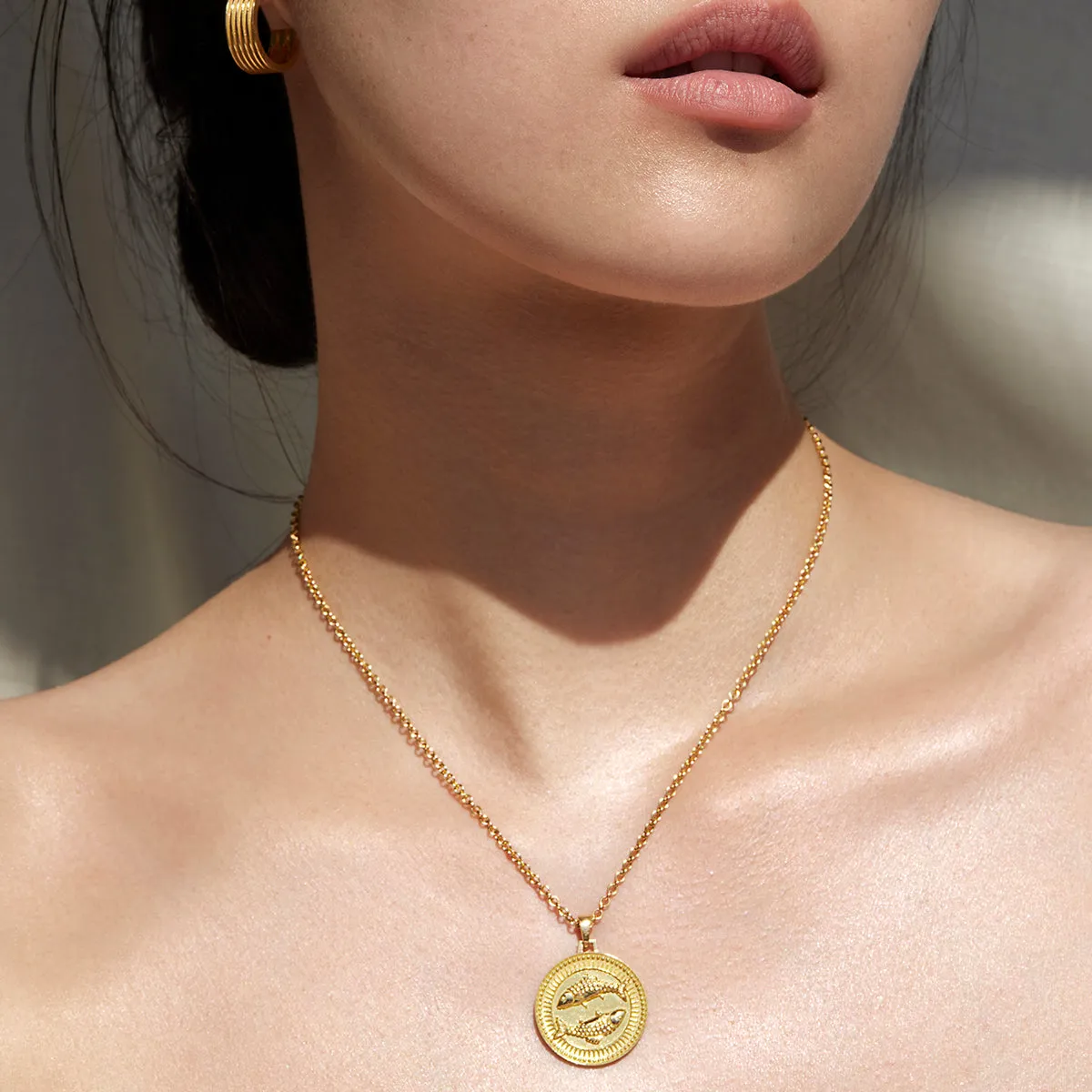 Pisces Zodiac Pendant Necklace