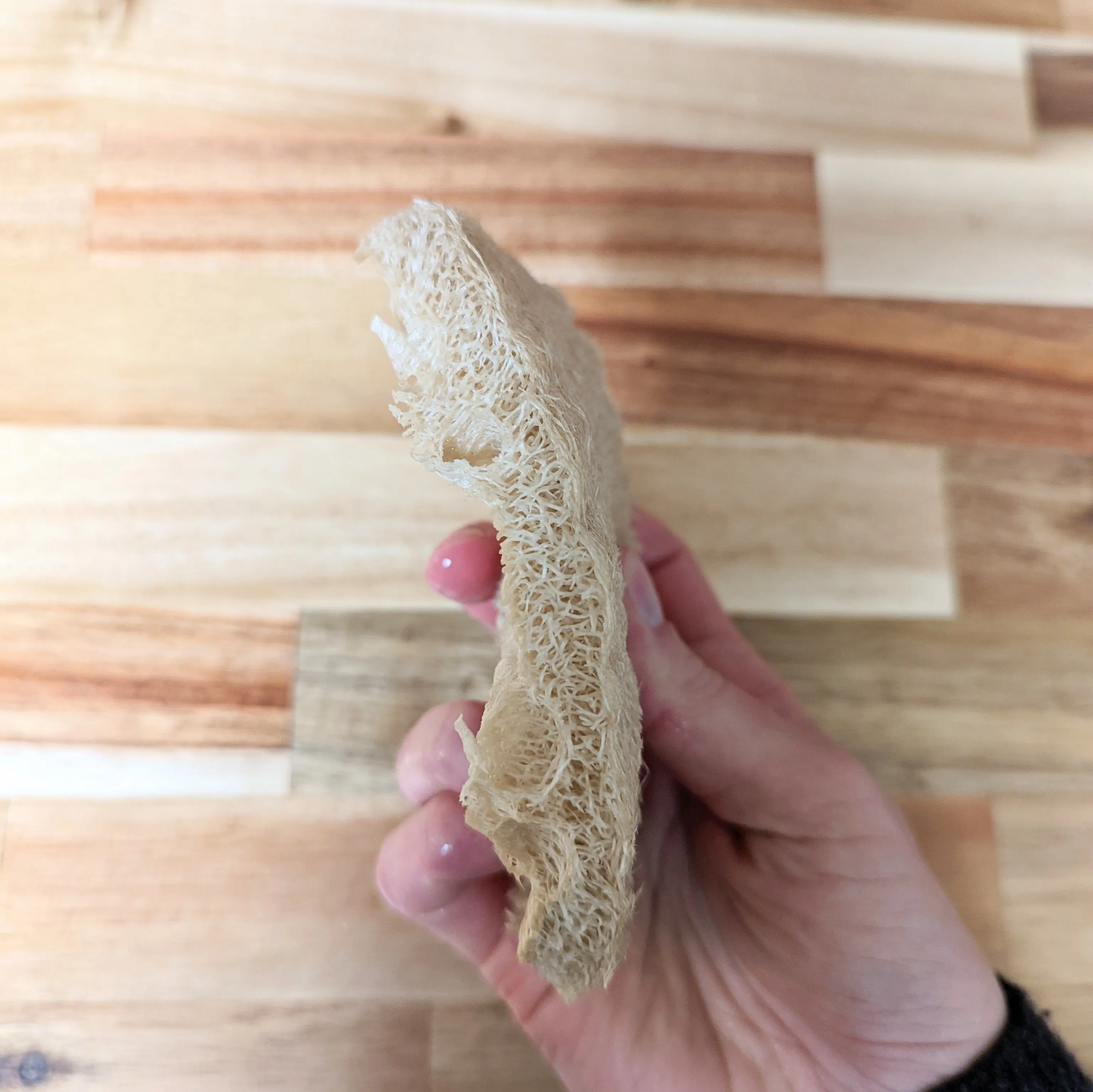 PLANTISH - LOOFAH DISHWASHING SPONGE