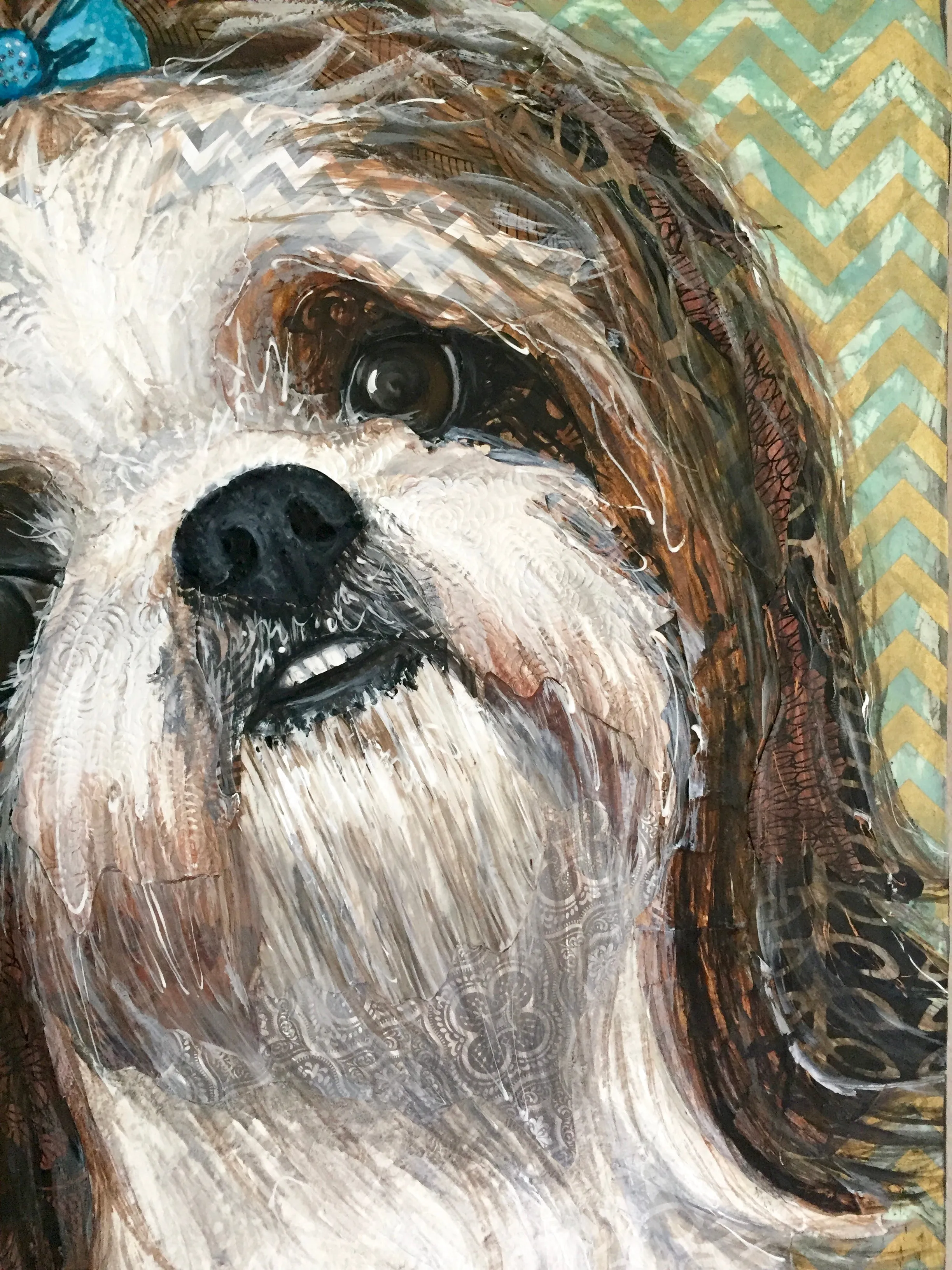 Rhys - Shih-Tzu