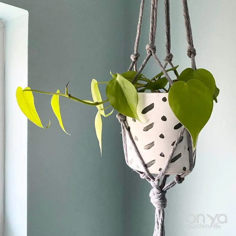 Two Tiered Modern Macramé No Tail Plant Hanger - Double Plant Hanger